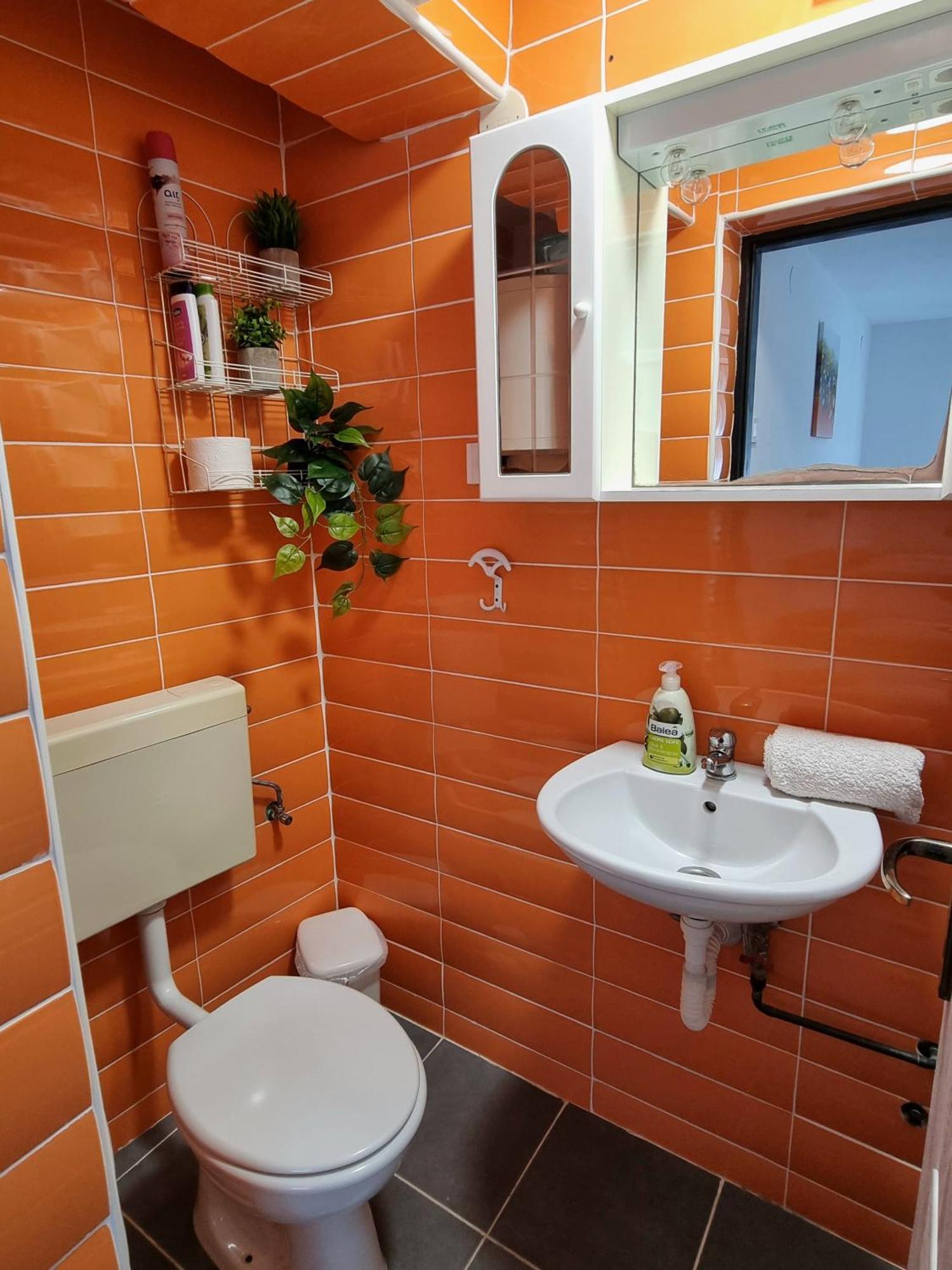 Apartment Deni Skrbčići Exterior foto